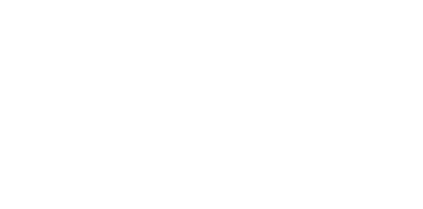 Valorix International